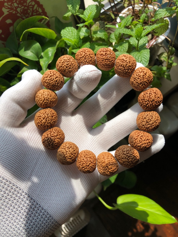 野生桃核蚂蚁纹桃核单圈手串高密度纹理清晰