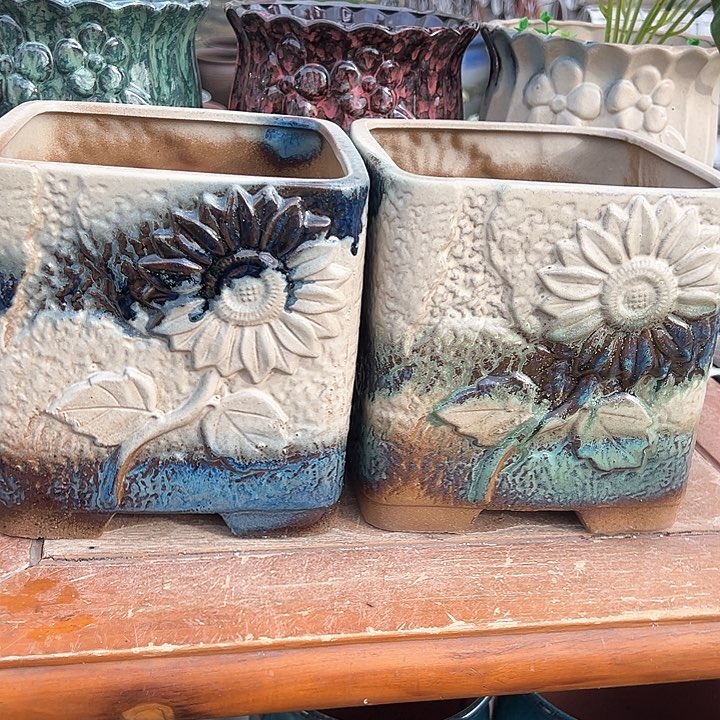 红陶口18高19福利啦