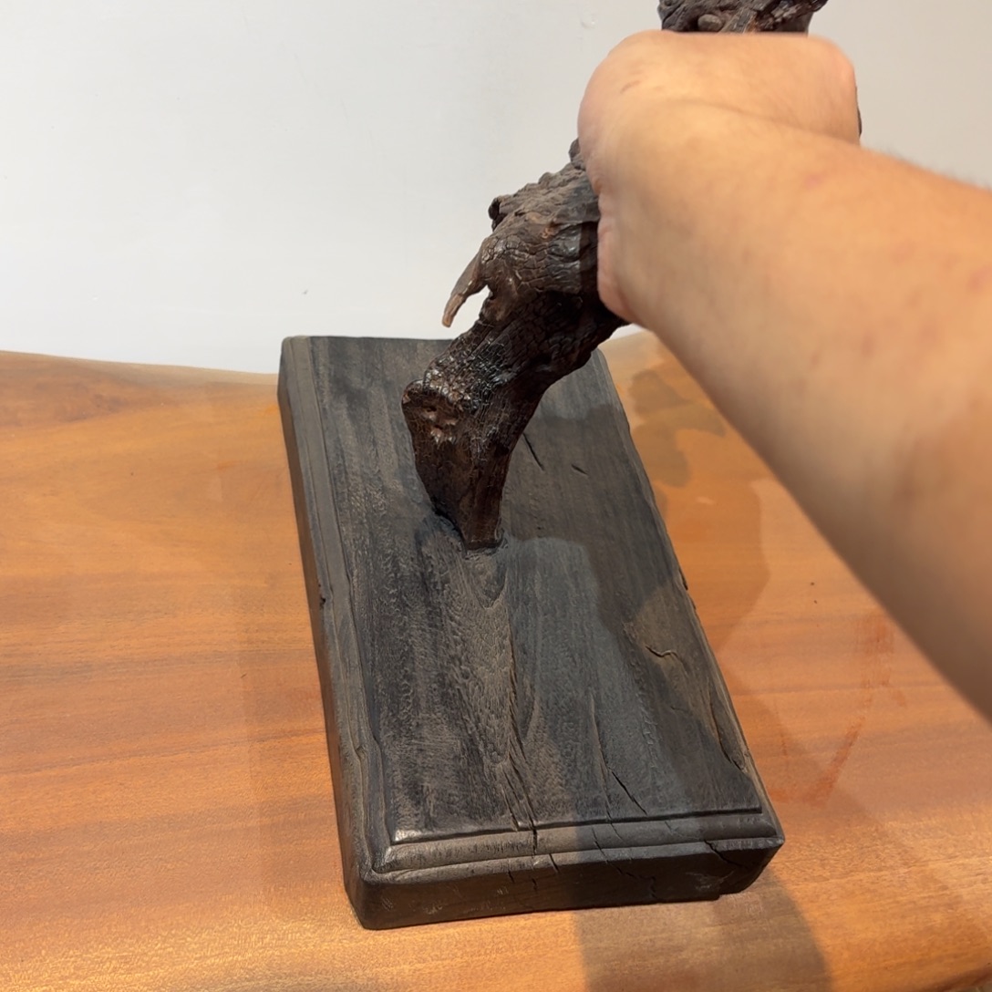 开****扇子树根9985477522