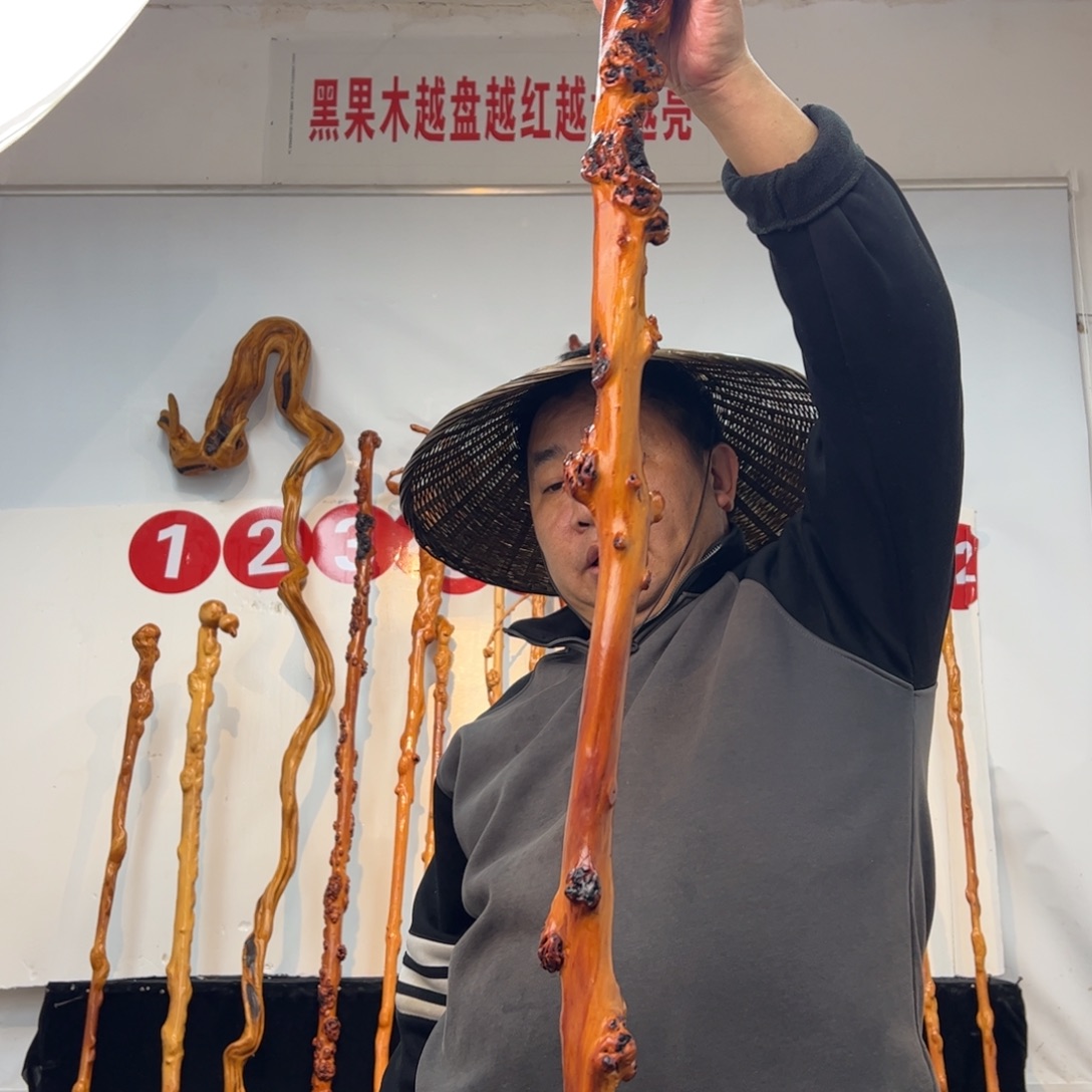 蓝***星其他黑果木黑果木612
