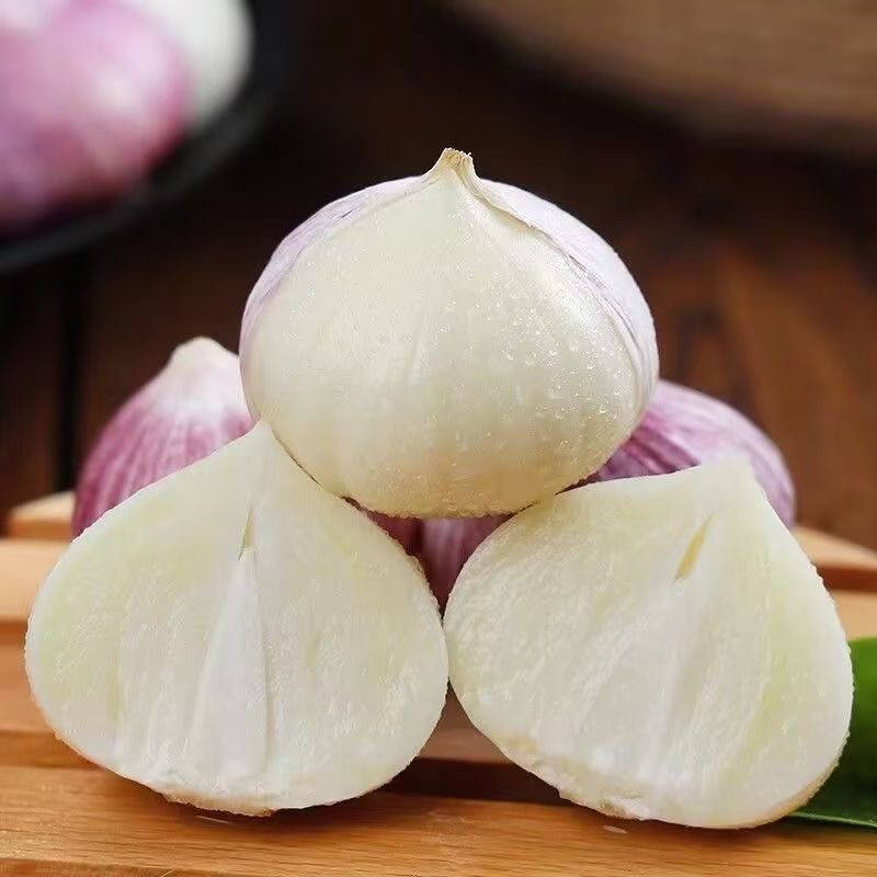 东北紫皮独头大蒜新鲜蔬菜