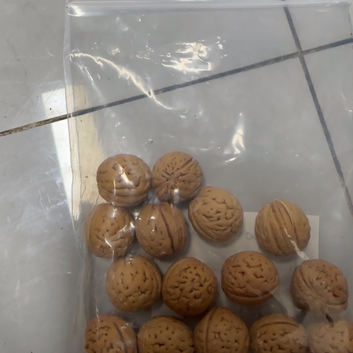 你***z桃核吊坠盘锦肌肉纹