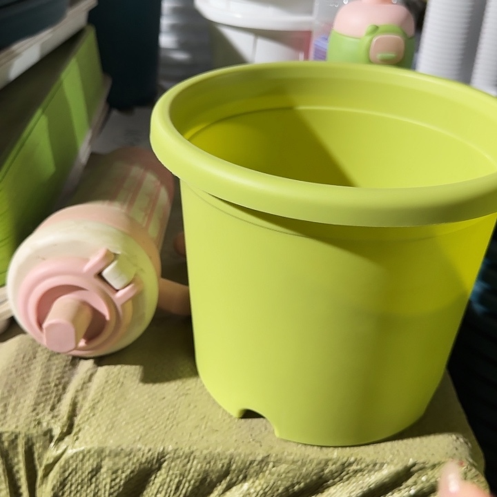 四季3号果绿无托10个微瑕