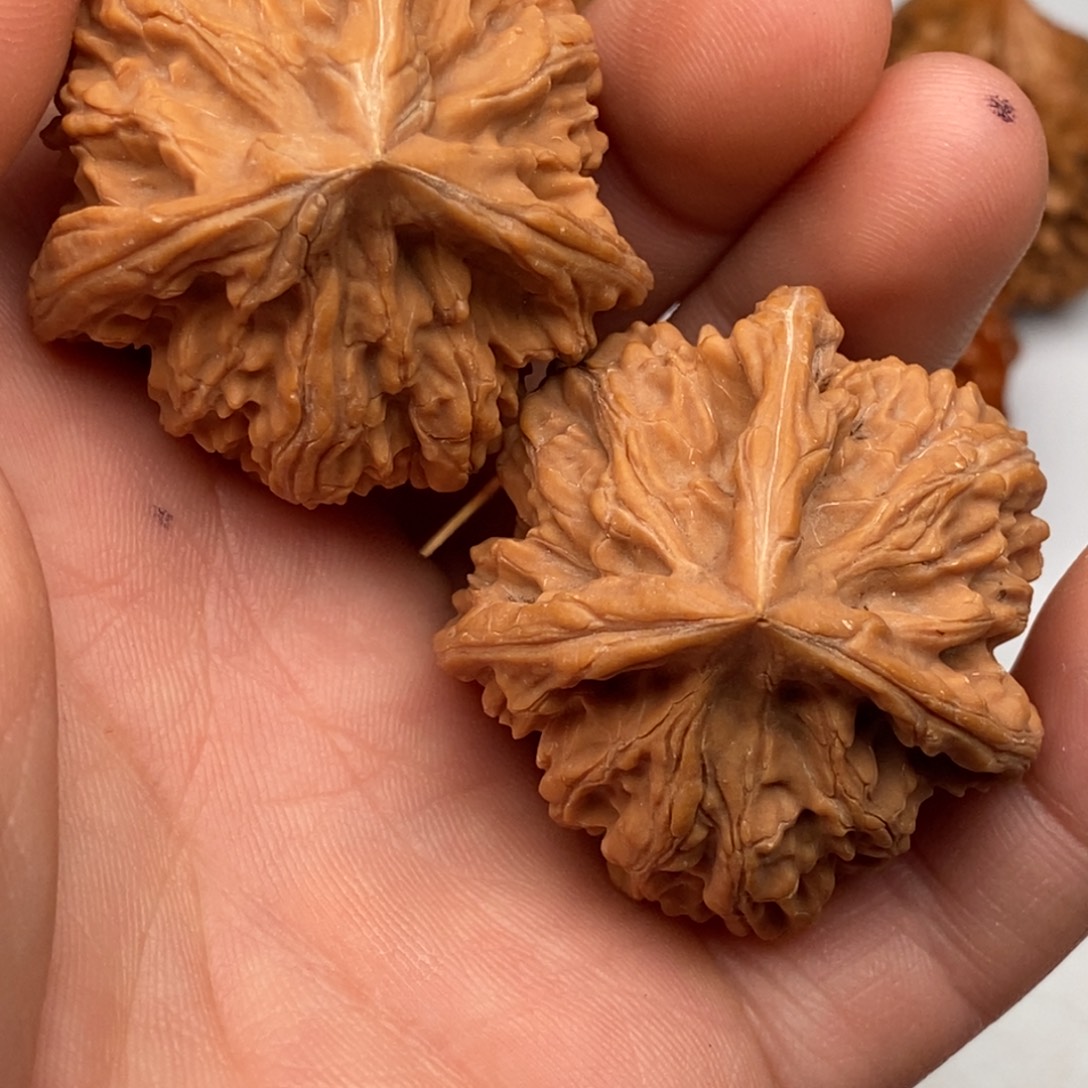 文玩核桃把件41文山三棱