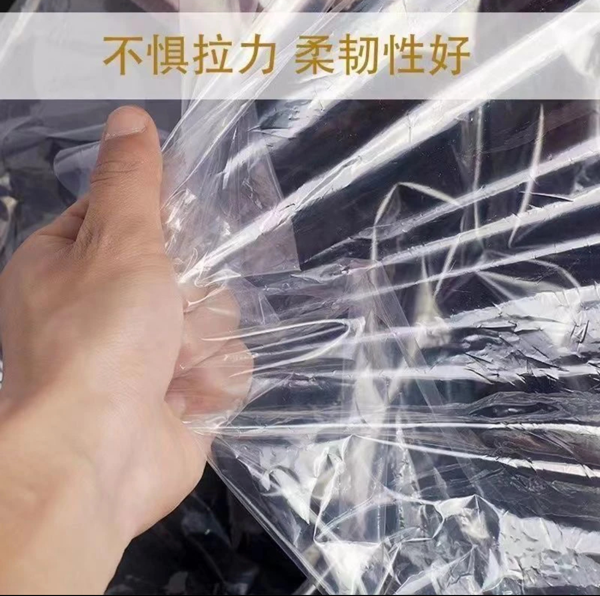 多功能生桩发芽袋子