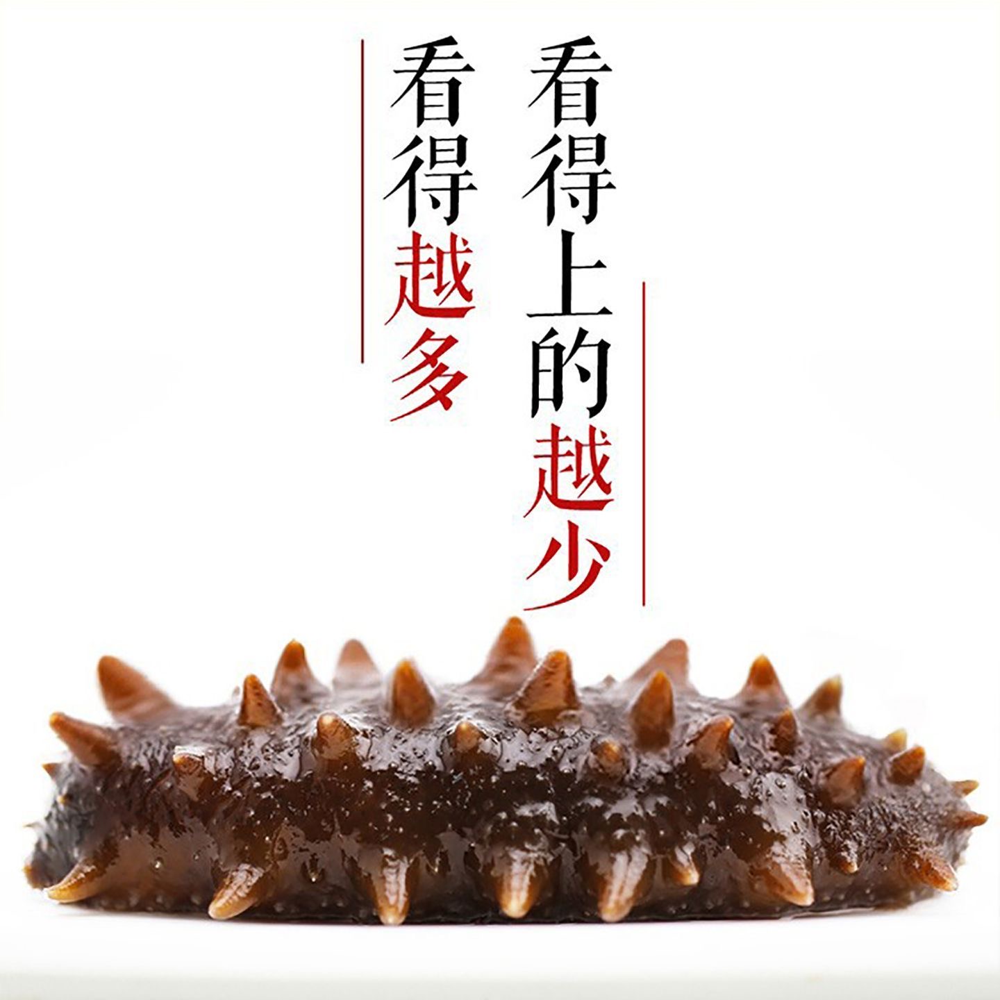 【顺丰冷链】9A参王即食海参渤海湾刺参鲜食孕妇级滋补送礼不挂冰