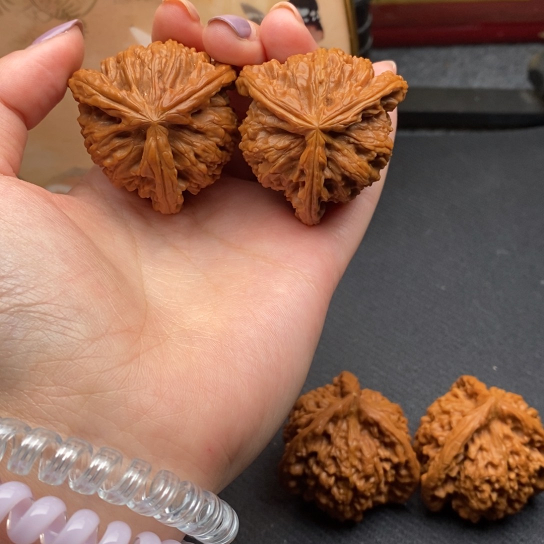 8****秒白狮子11111111