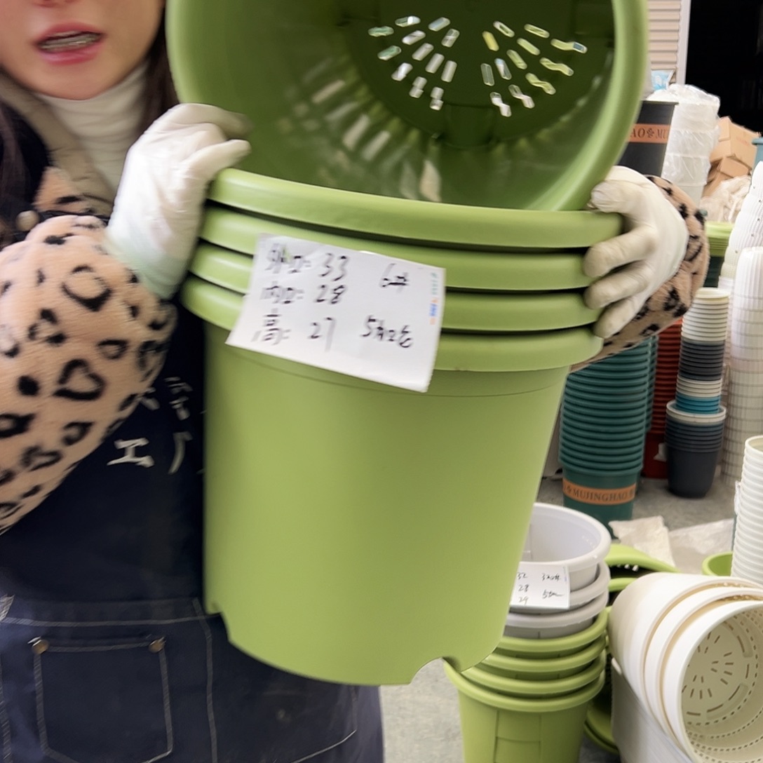 四季盆6#果绿5个无托