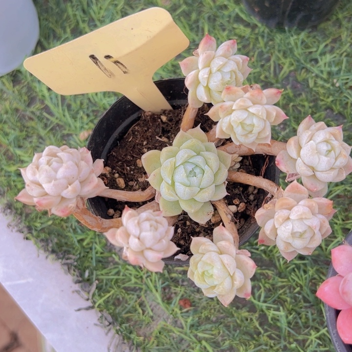 健健康康平平安安