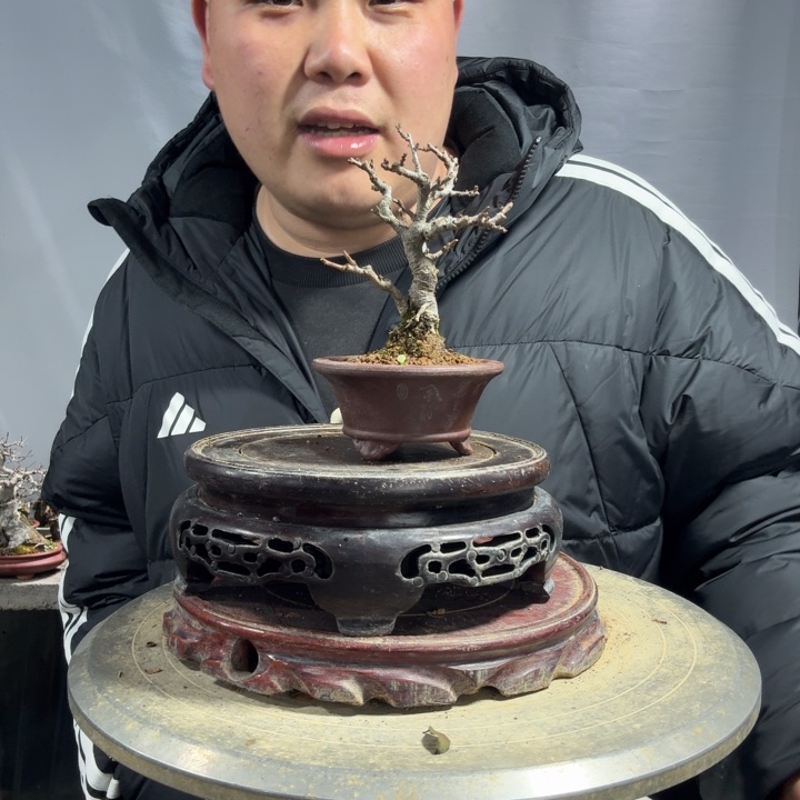 无花朵4882388088888