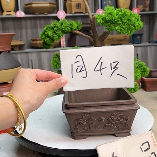 紫砂花盆岁**友宜兴市第一