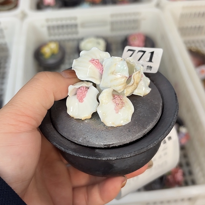 山泉造物手工制作柴烧771