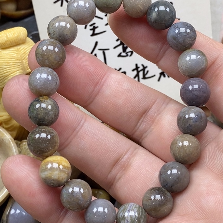 硅化珊瑚（珊瑚玉）未镶嵌颈饰