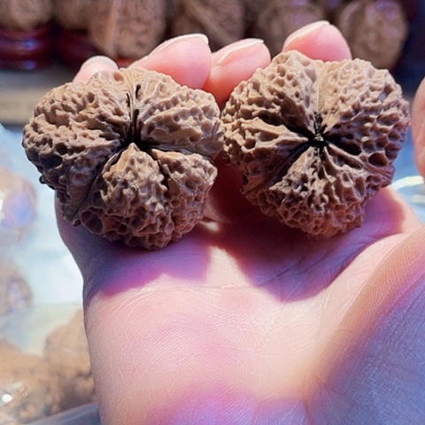 把件文玩核桃暗夜行者带彩41