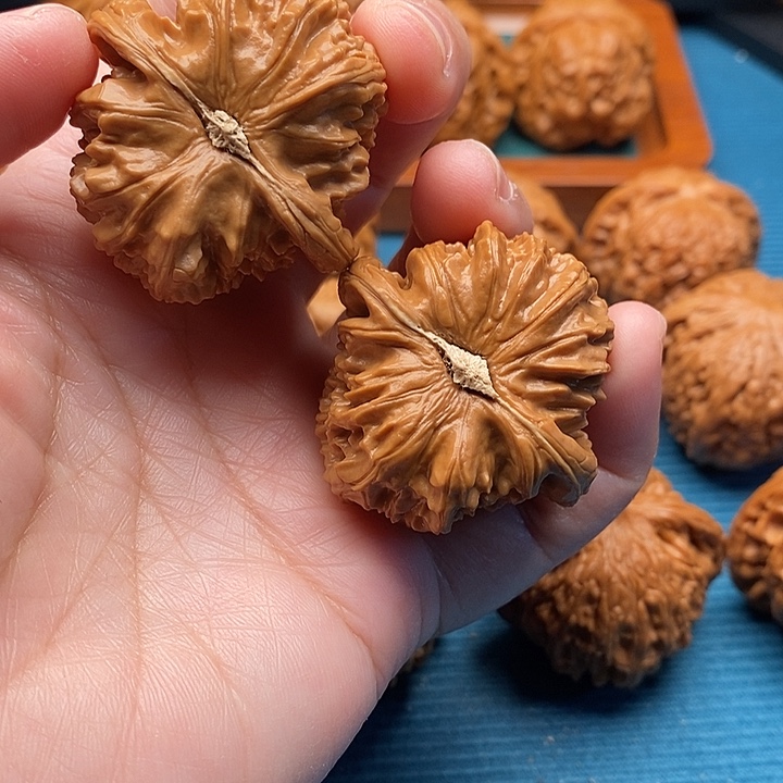 白狮子41老树山地果
