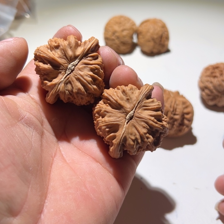 远***景把件文玩核桃白狮子