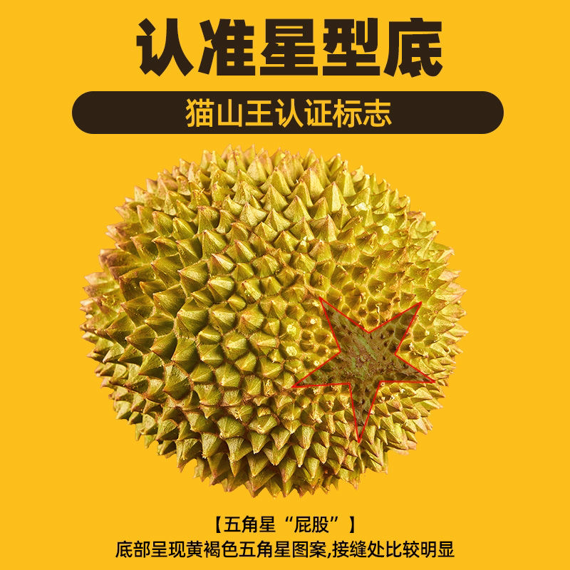 59液氮猫山王榴莲3斤以上