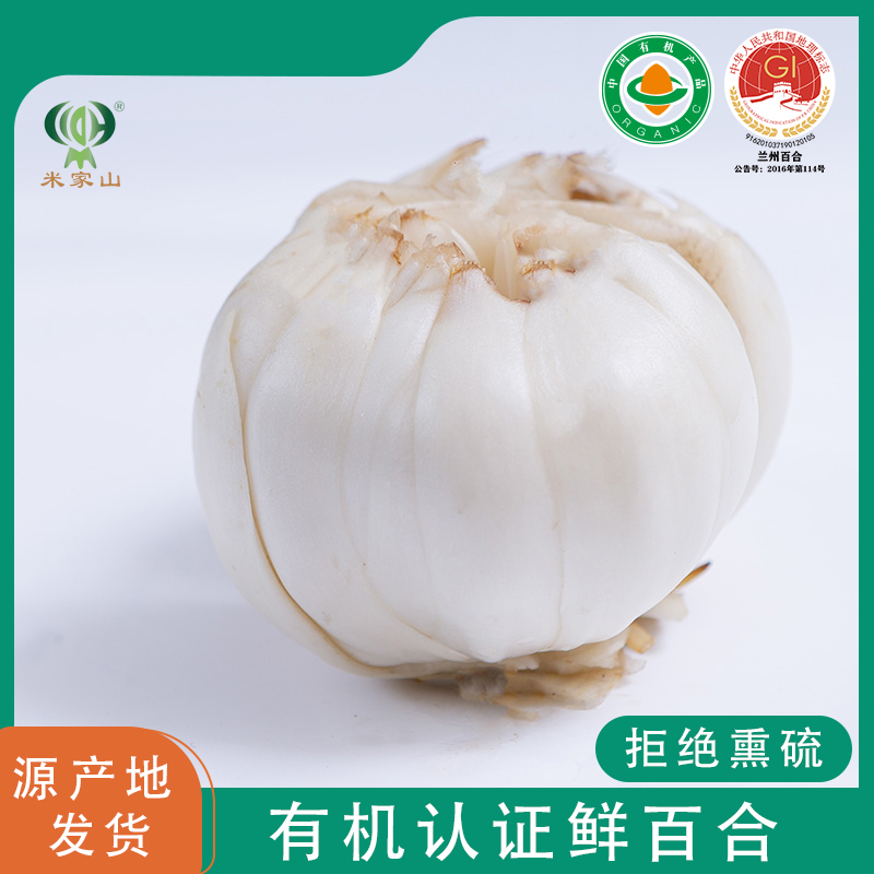 米家山兰州鲜百合有机认证绿色食品甜百合食用特级农产品现挖包邮