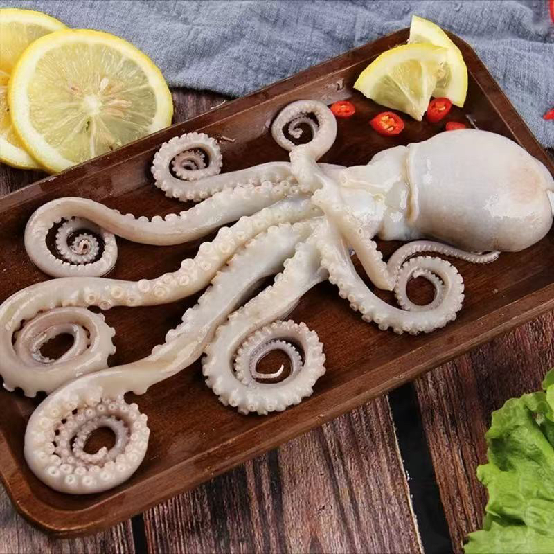 原浆网红长腿爆头八爪鱼 一斤5-7条左右  活冻发货