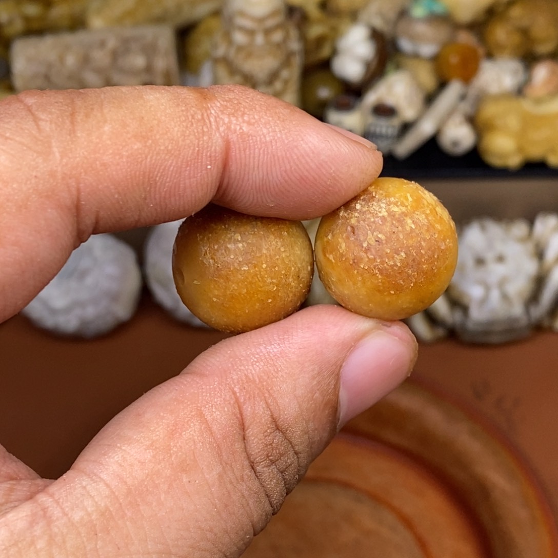 其他驼骨人工样子