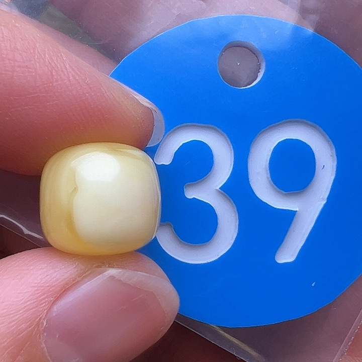 蜜蜡裸石未镶嵌11.3m m