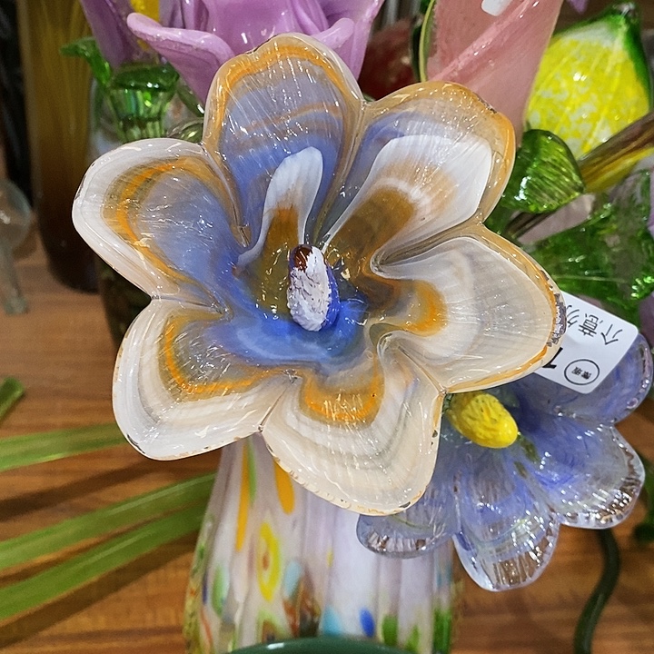 百合花高43厘米左右