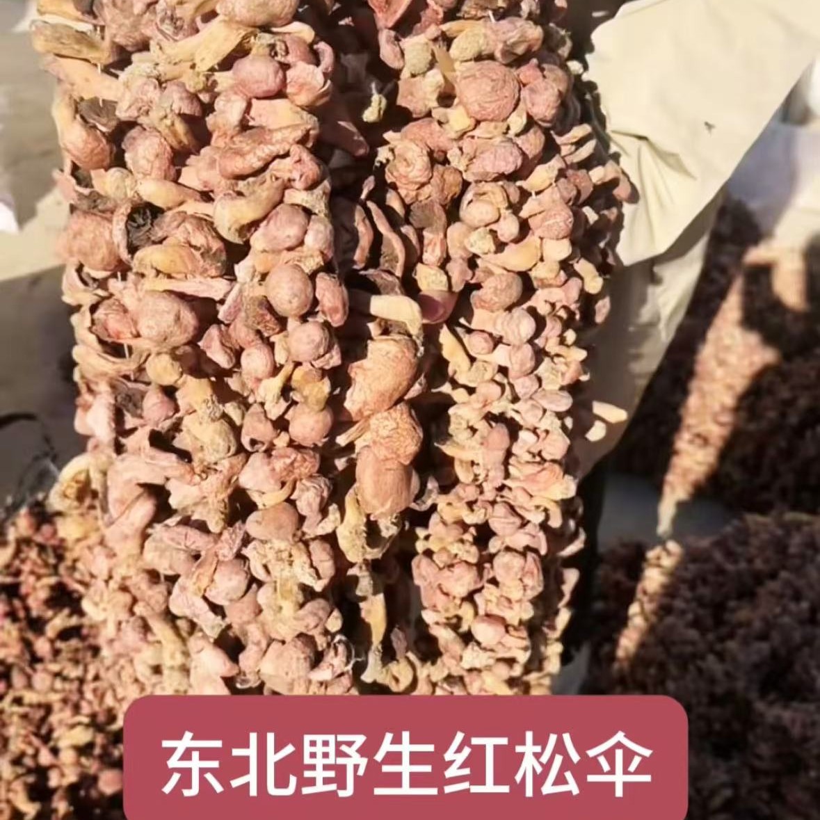 东北野生串红松伞红蘑也叫肉蘑自然晾晒250g干货小鸡炖蘑菇