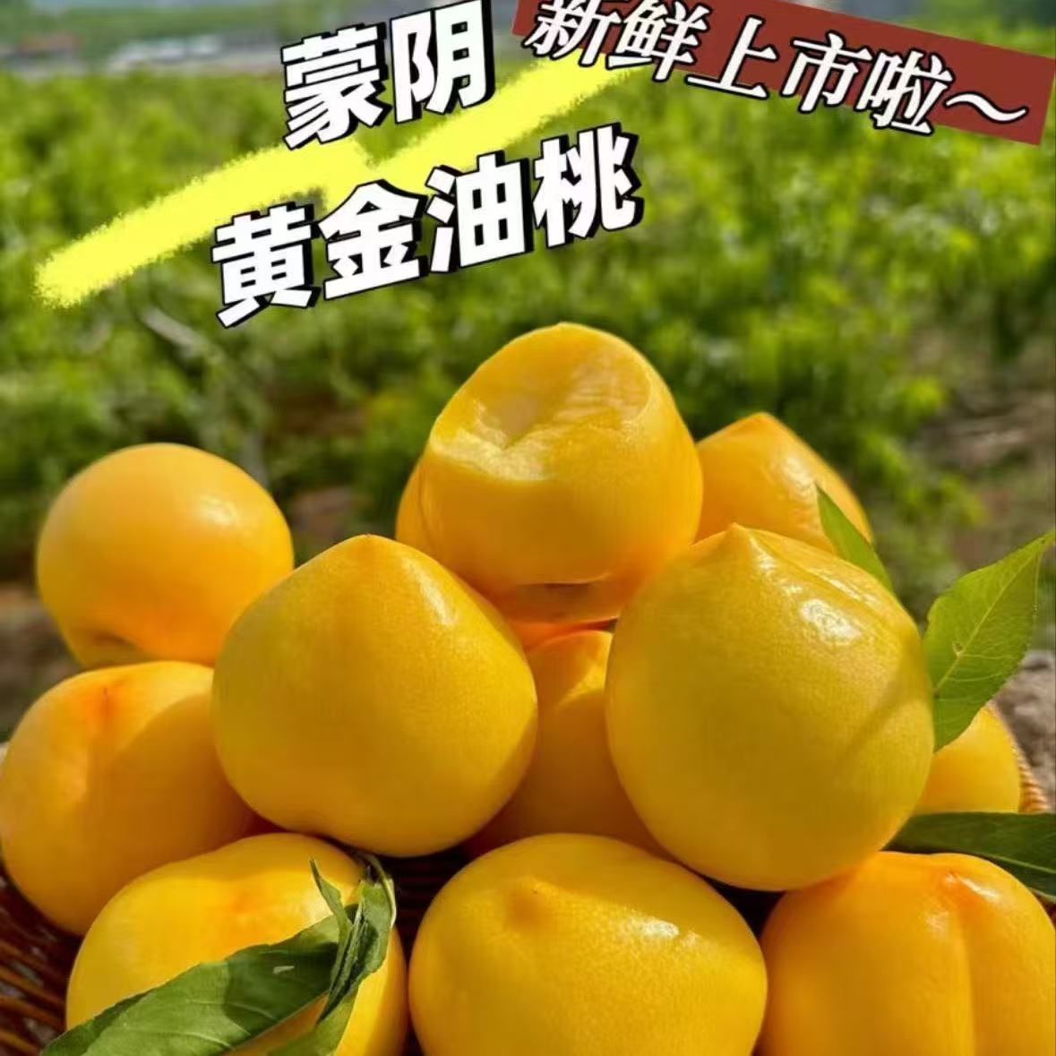 【京东包邮】山东蒙阴油桃脆甜多汁新鲜现摘黄心桃子脆软两吃