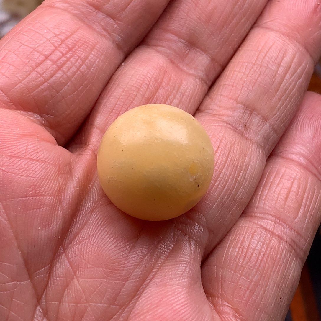 其他驼骨20驼嘎单珠