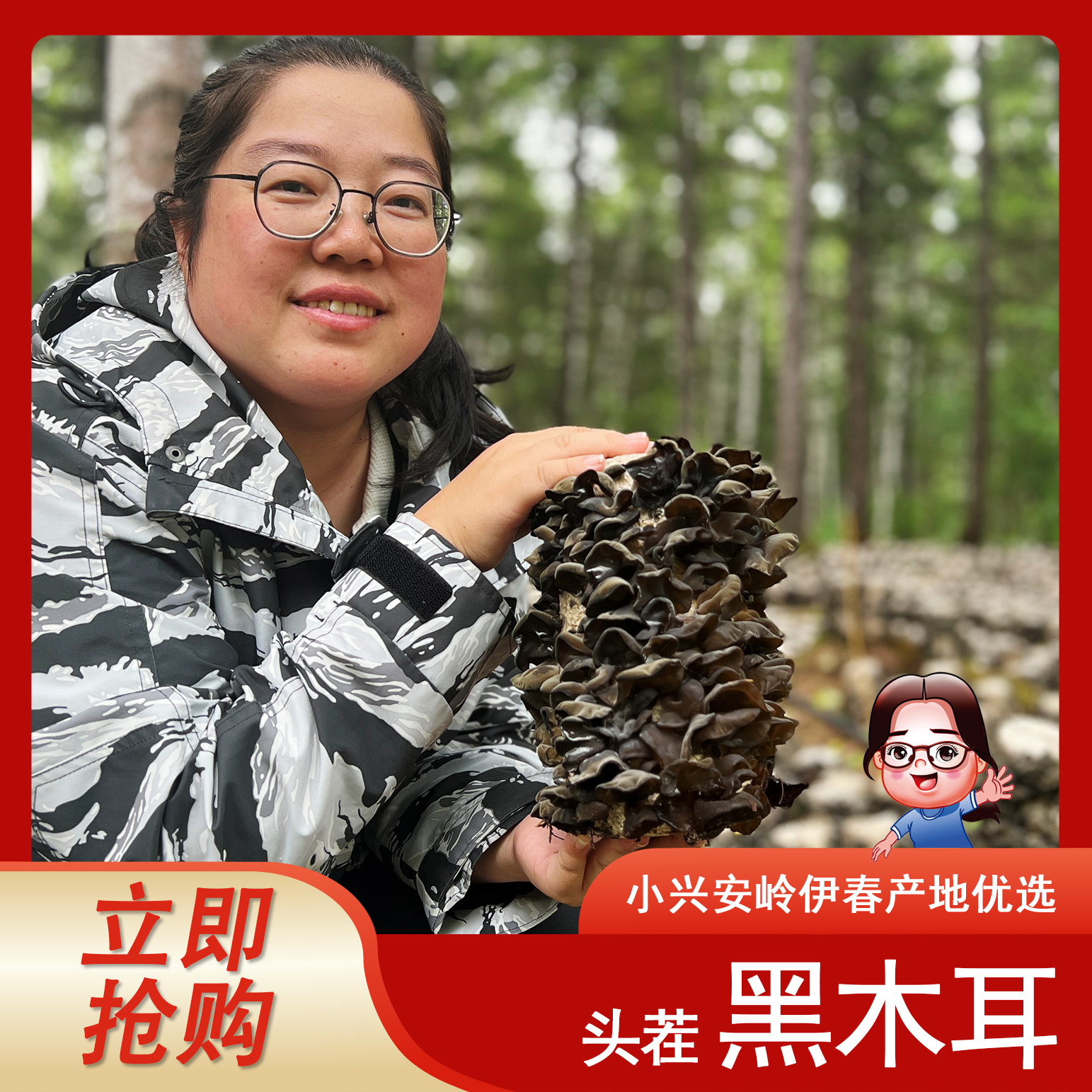 《小翠商贸》2025年东北小兴安岭伊春头茬春耳好吃干净木耳