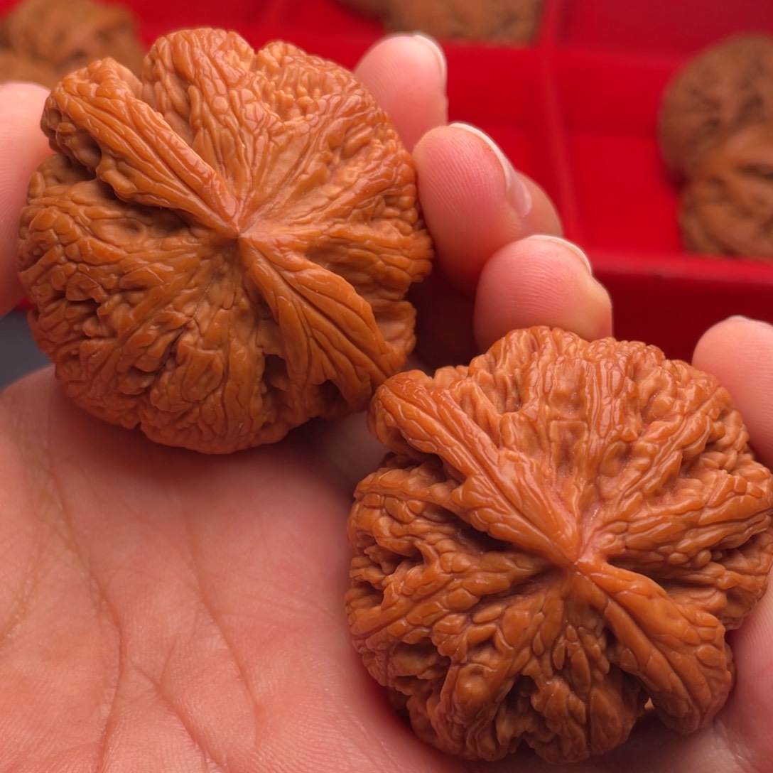 文玩核桃把件秦岭山脉