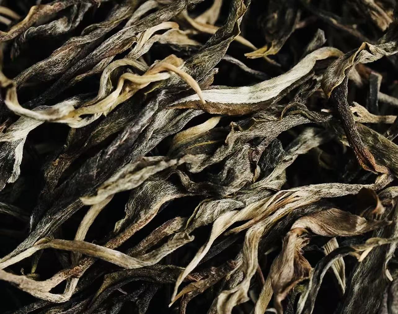 【大郭专属0805】多样性发货/可搭配茶