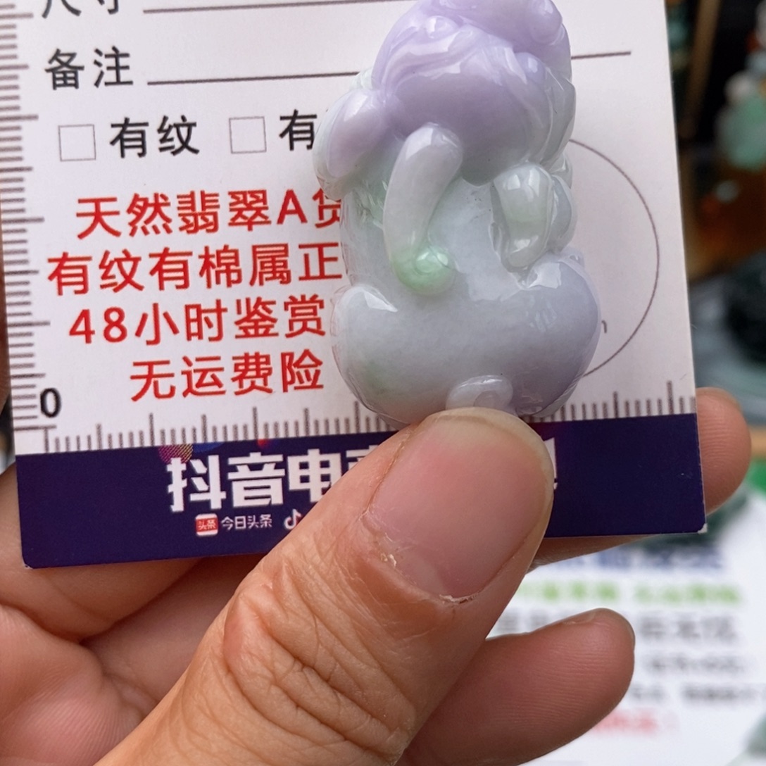 翡翠未镶嵌颈饰貔貅