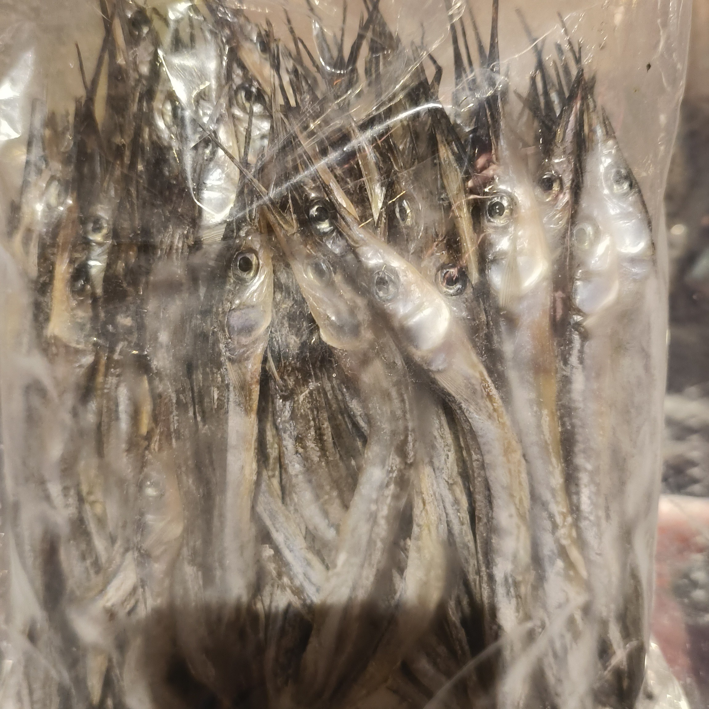 长海县尖嘴鱼干500克