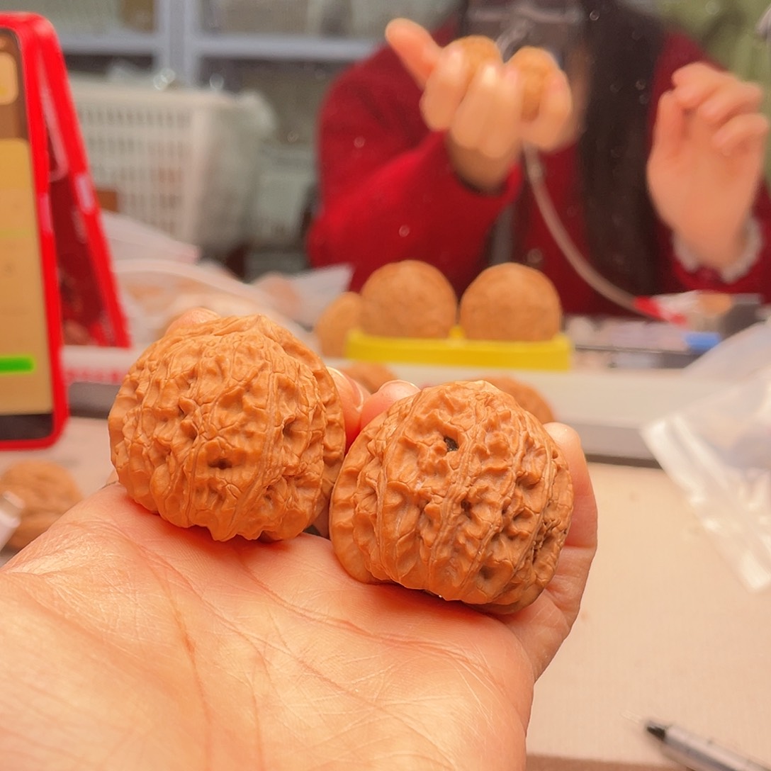 ?**y猴头蛇尾也可以穿