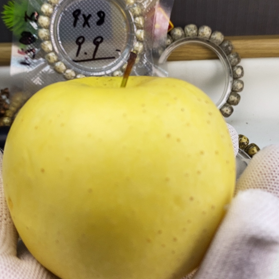 原生态鸡油黄苹果珠卡79