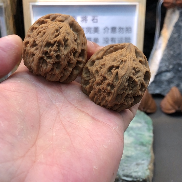 y***a把件文玩核桃南将石