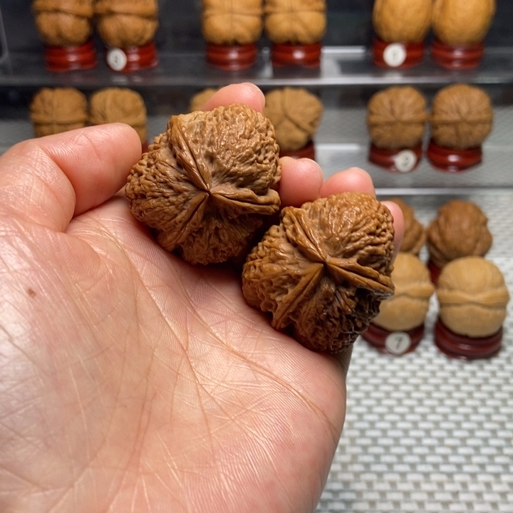文玩核桃把件8七彩梅花奔