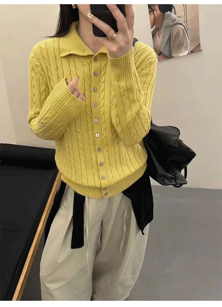 浣熊羊毛立体麻花高领毛衣女秋冬2025新款秋冬韩系百搭针织开衫