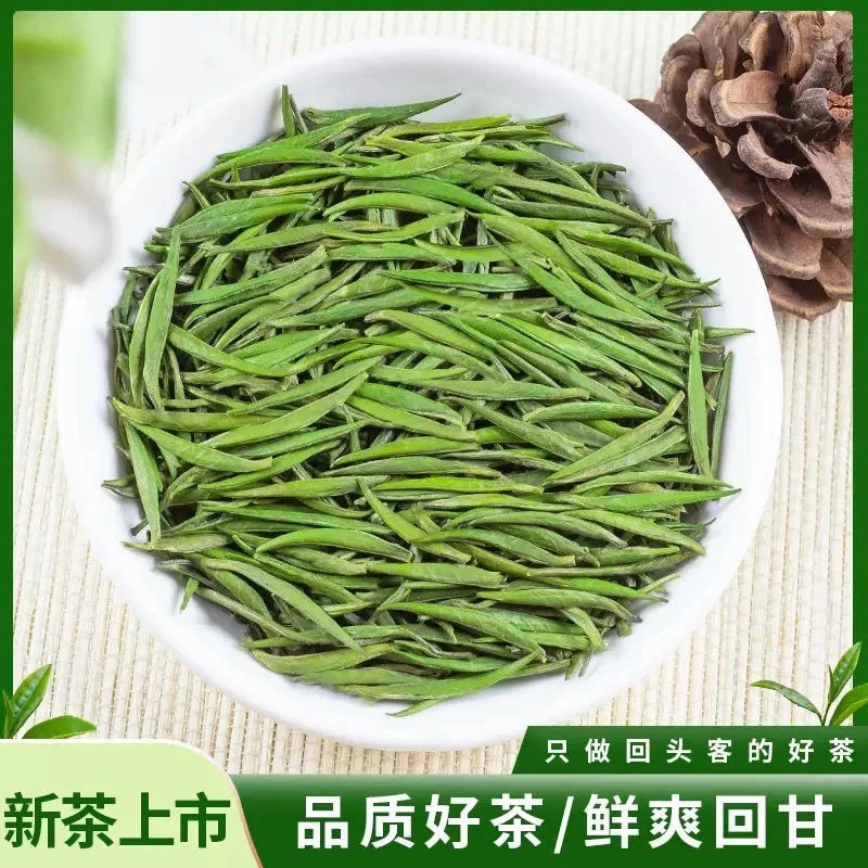 2025年雀舌新茶绿茶茶叶500g