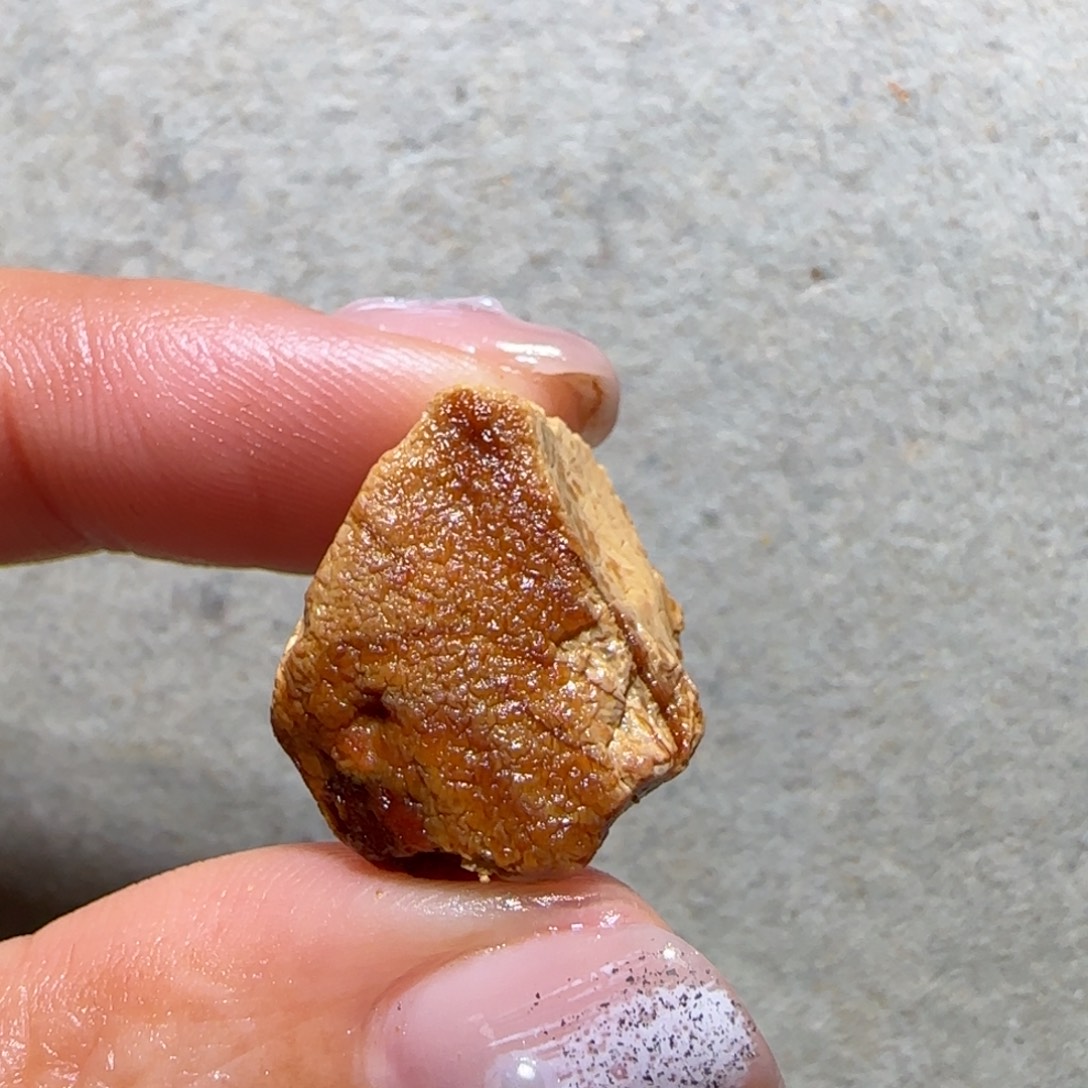 达***溜琥珀未镶嵌裸石专拍