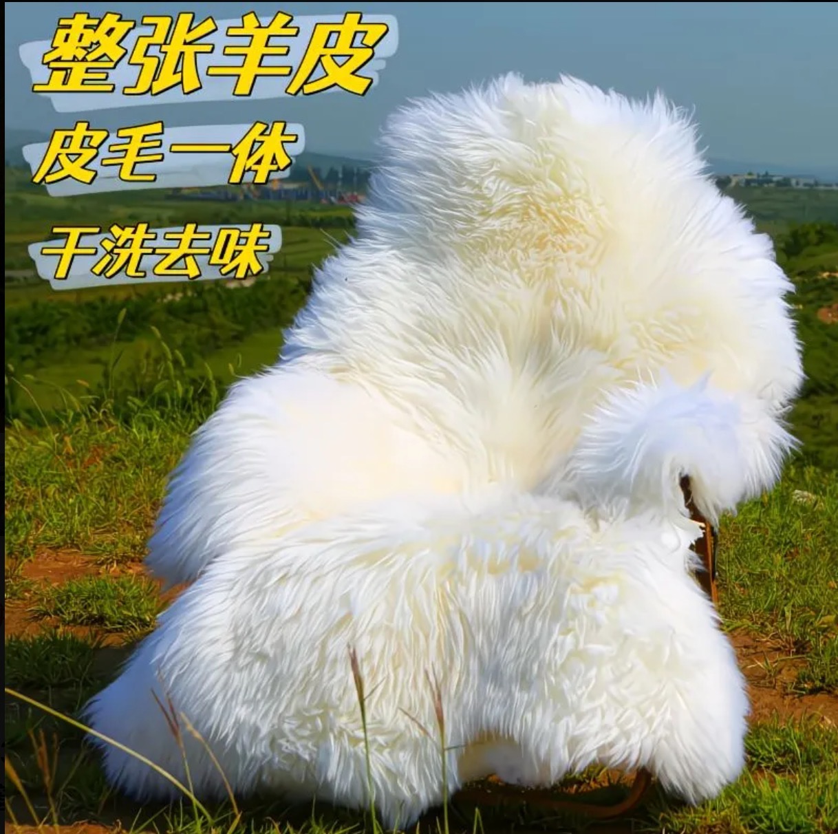 整张羊皮地毯坐垫皮毛一体
