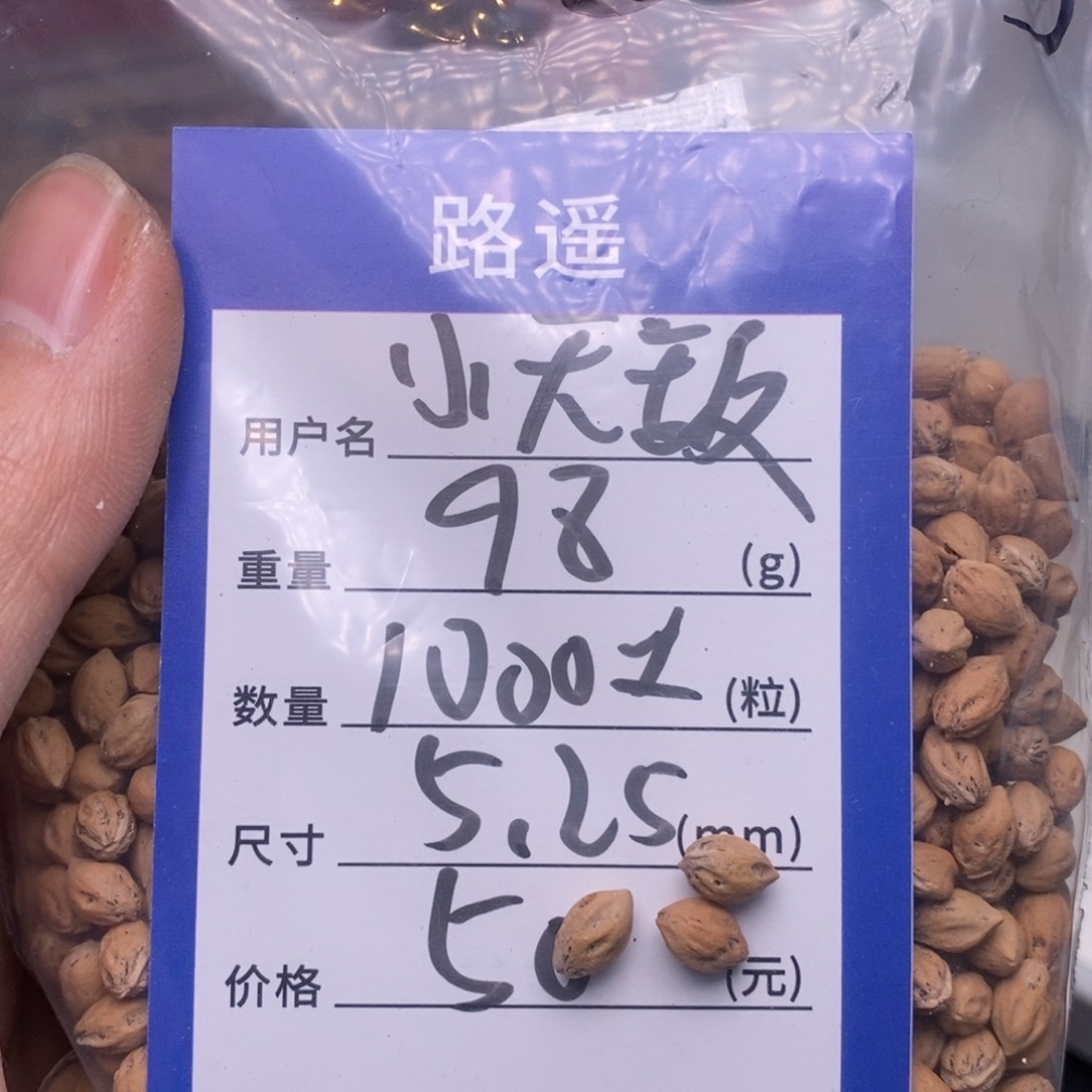 柏香籽/百香籽吊坠小*敌