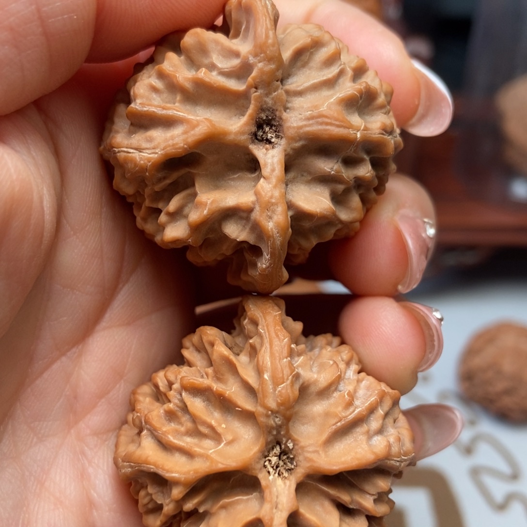 ****丶大叶紫檀（黑酸枝木类）苹果园