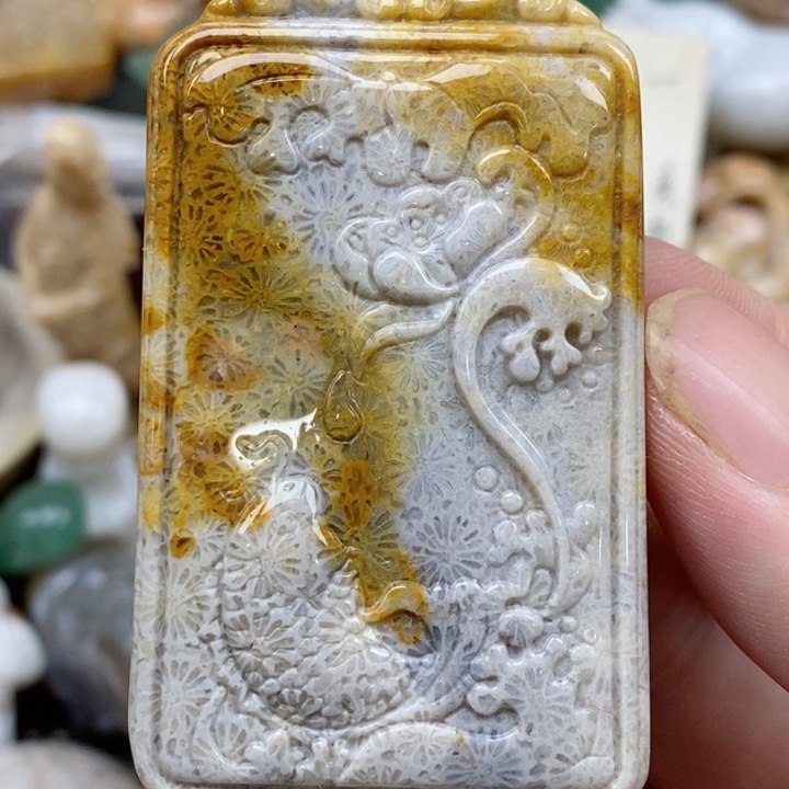 硅化珊瑚（珊瑚玉）未镶嵌颈饰