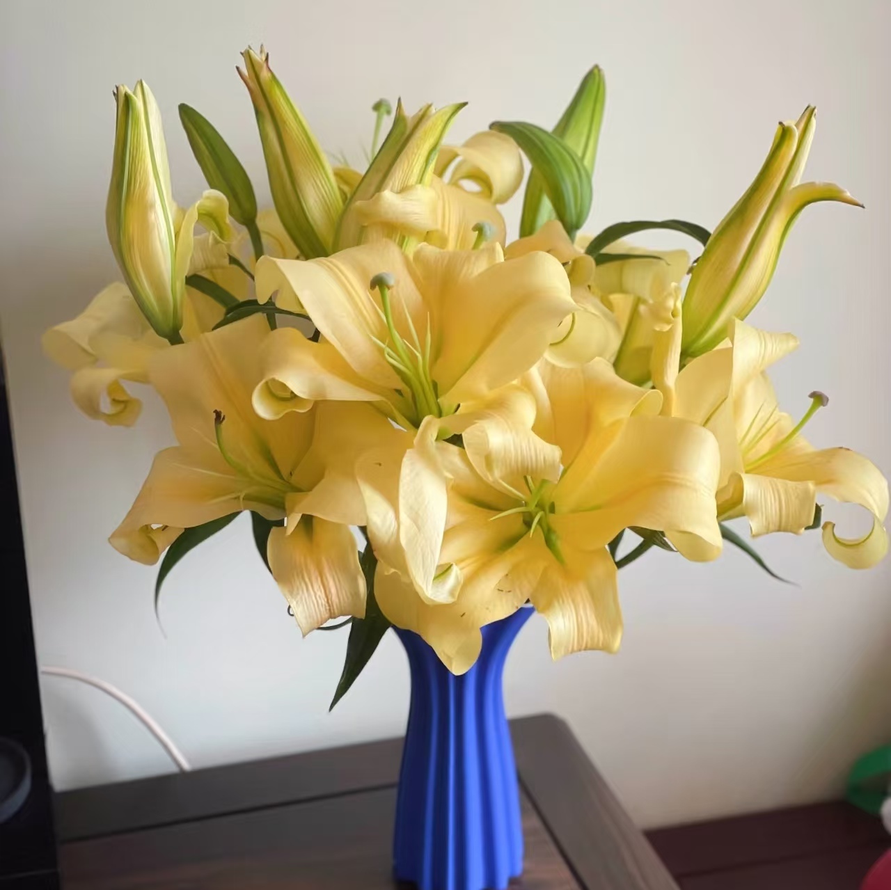 5枝皇帝双头百合10个花苞 香水百合 (两单发顺丰或京东快递)