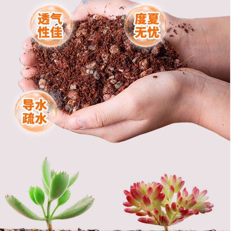 文诚园艺多肉植物颗粒营养多肉植物营养用土