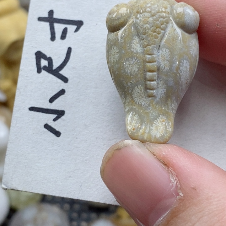 颈饰未镶嵌硅化珊瑚（珊瑚玉）