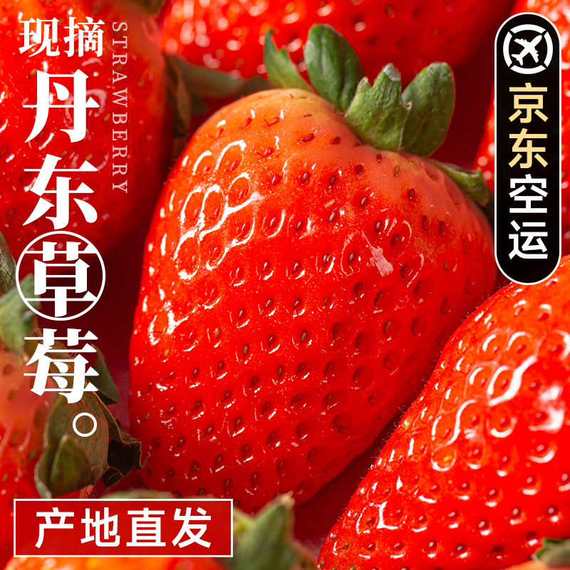 正宗丹东草莓当季红颜奶油新鲜水果九九牛奶整箱现货京东空运包邮