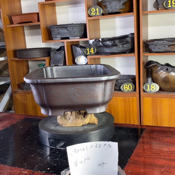 杨*大何紫砂花盆